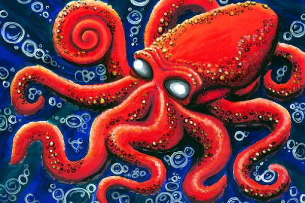 Kraken darknet зеркала