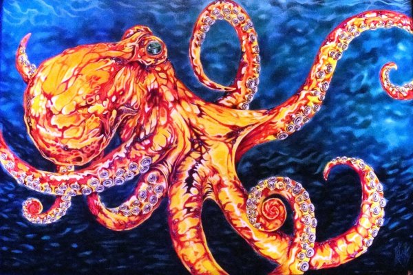 Kraken 24 at