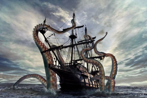 Kraken 17 at net