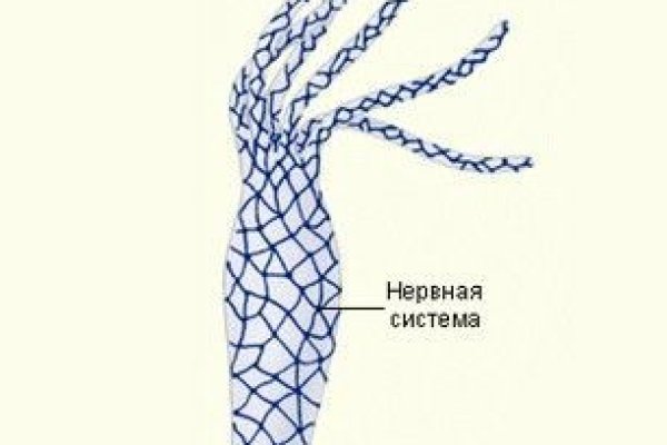 Kraken darknet sliv php